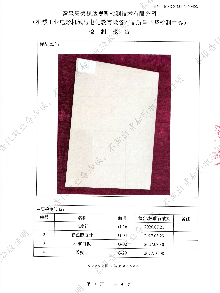 ZT80 透明正投影膜 检测报告_05